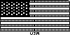 USA Flag